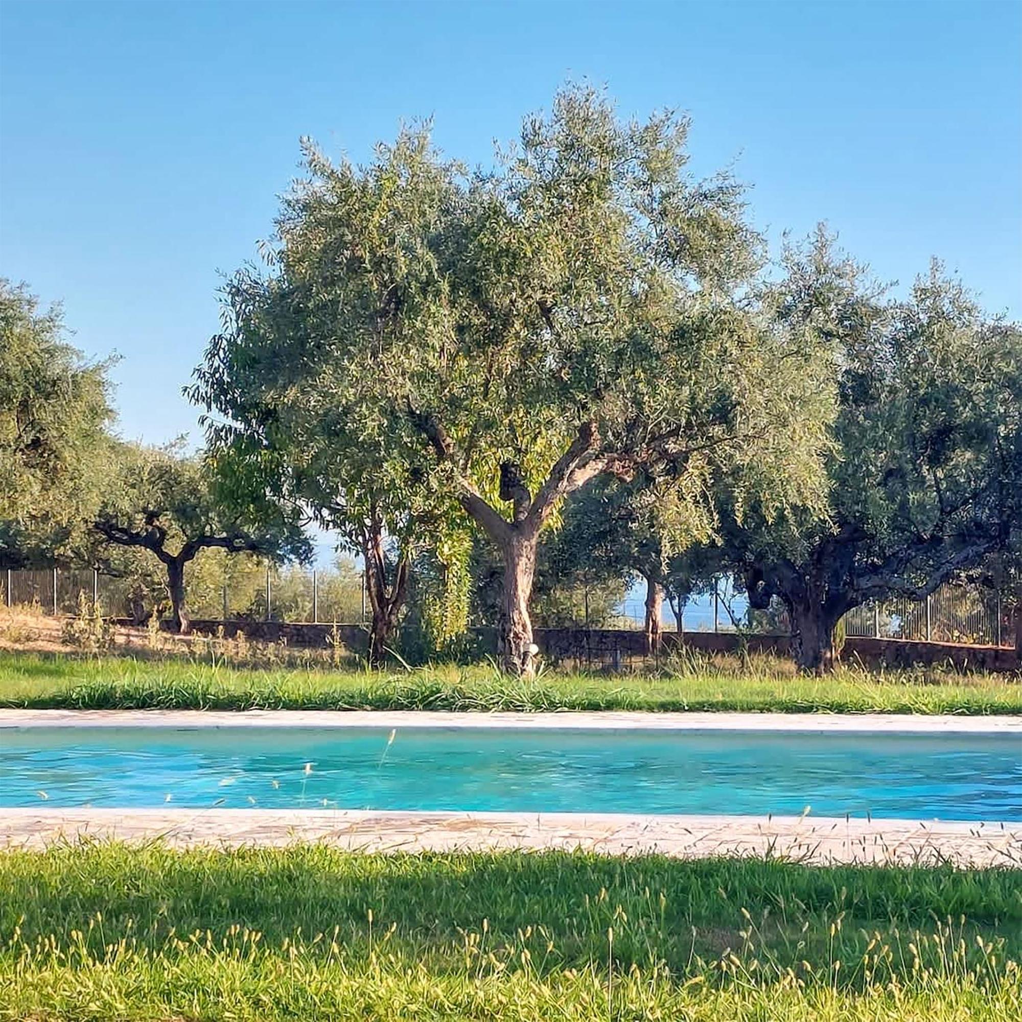 Villa Eleni - Private Pool Bliss Near Kardamili Proastion Экстерьер фото